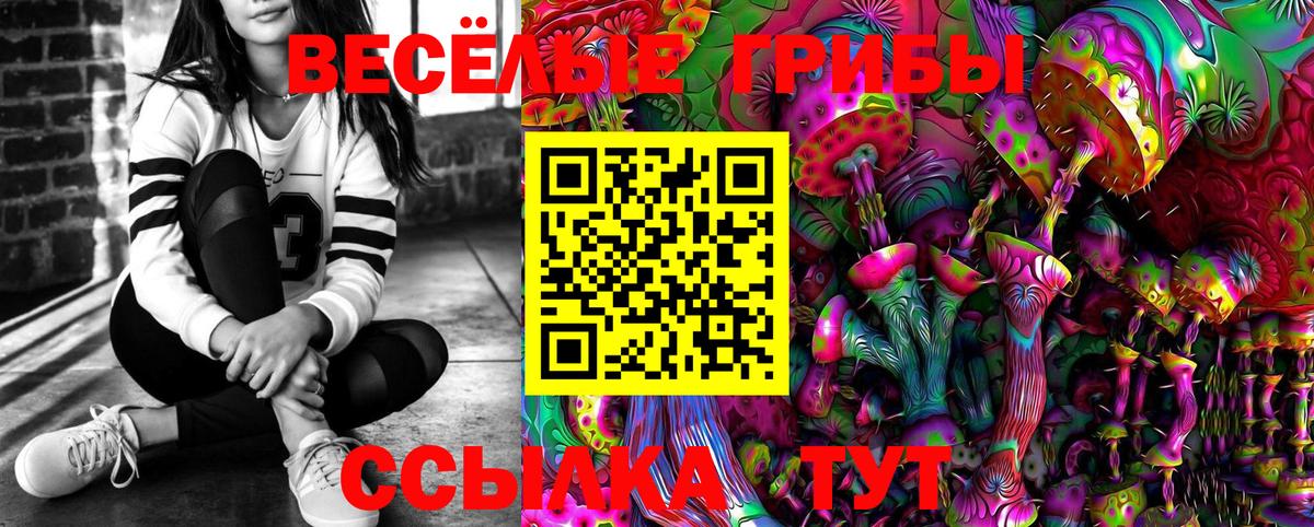 Галлюциногенные грибы Psilocybine cubensis  Вход с VPN  Псилоцибиновые грибы ЛСД  Нурлат 