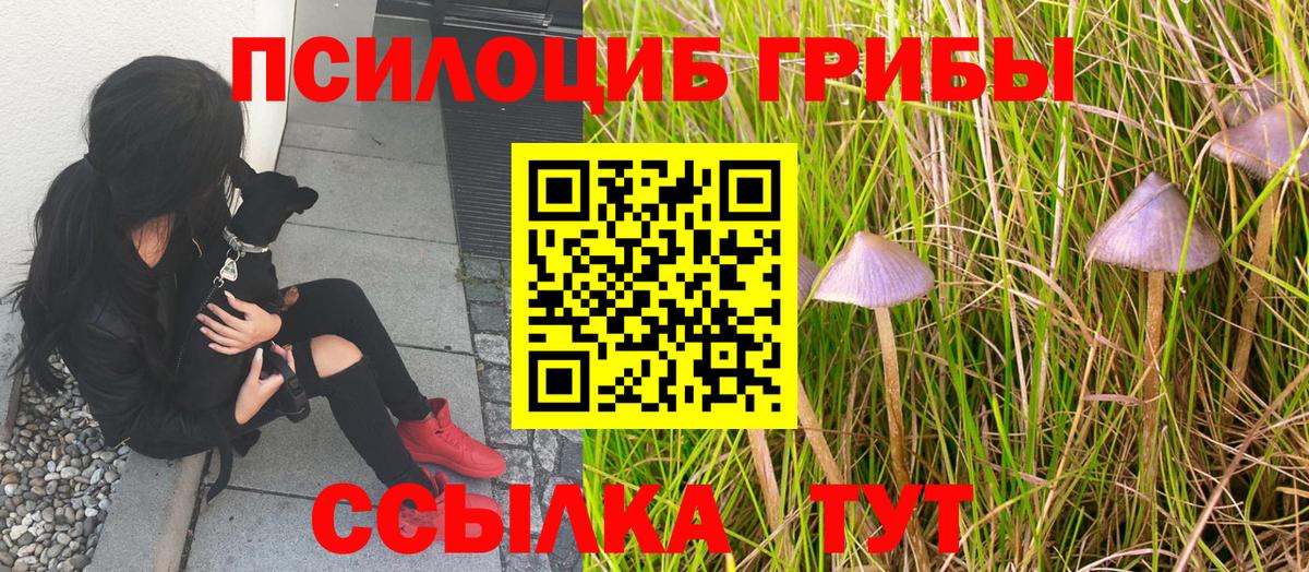 Галлюциногенные грибы мицелий Нурлат